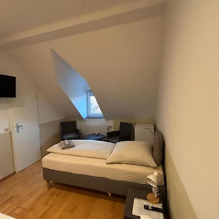 Doppelzimmer-bad-kuehlschrank Tv-18 Penzion Meine